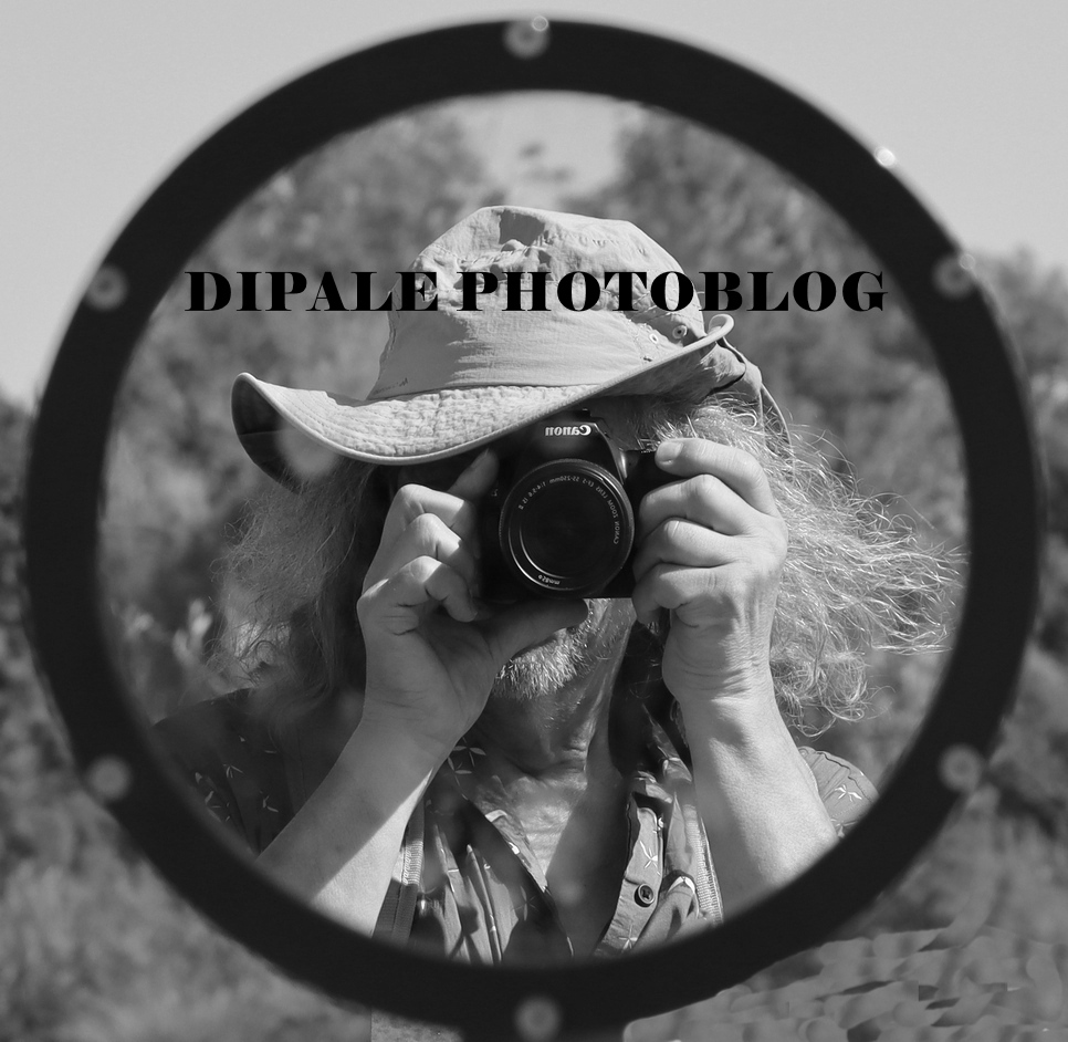 Logo PhotoBlog