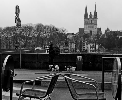 Angers pont de Verdun et quai des Carmes une femme promenant ses petits chiens